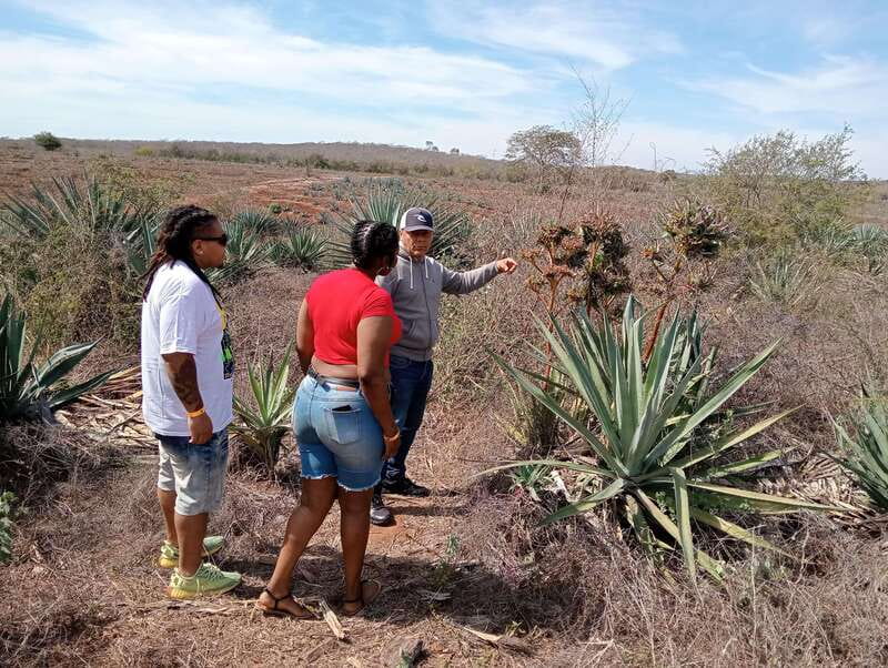 Mazatlan: Mezcal Factory Tour with Tasting and Lunch - Key points to know before booking