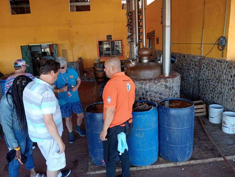Mazatlan: Mezcal Factory Tour with Tasting and Lunch - Who will enjoy this three-hour ranch visit?