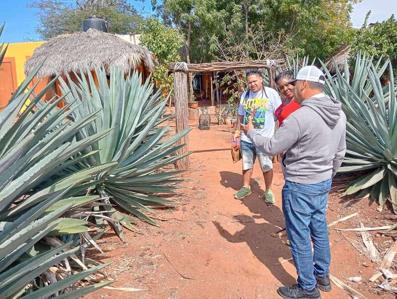Mazatlan: Mezcal Factory Tour with Tasting and Lunch - Seven flavors at the tasting table