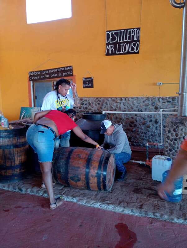 Mazatlan: Mezcal Factory Tour with Tasting and Lunch - Shopping, horses, and time to slow down