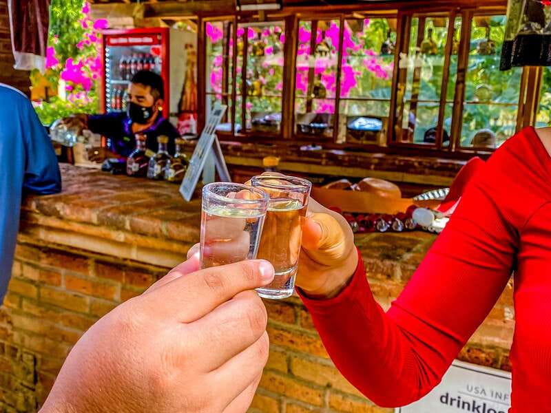 Mazatlán: Tequila Factory & Country Sightseeing - La Noria and its working traditions