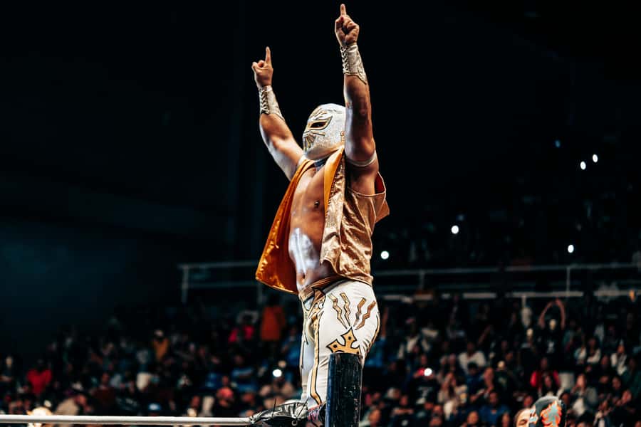 Mexico City: Mexican evening, lucha libre, and tequila - Key points at a glance