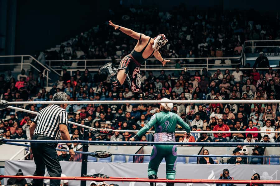 Mexico City: Mexican evening, lucha libre, and tequila - Tequila, mezcal, and the story behind the mask