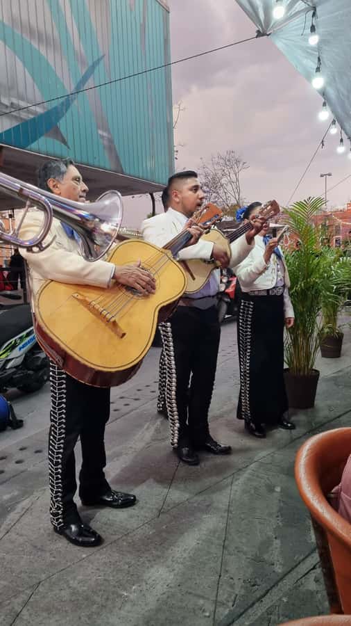 Mexico City: Mexican evening, lucha libre, and tequila - Getting to Arena México or Arena Coliseo