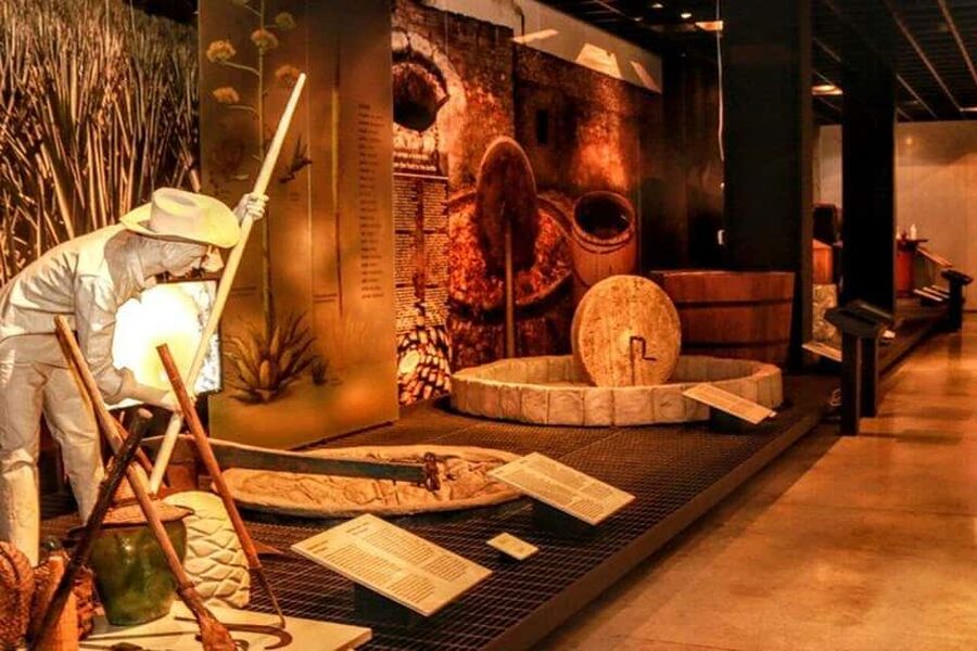 Mexico City: Tequila and Mezcal Museum Ticket with Tastings - Learning how agave spirits are made