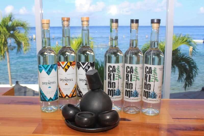 Mezcal and Tequila Tasting Room - Starting at Stingray Beach Cozumel