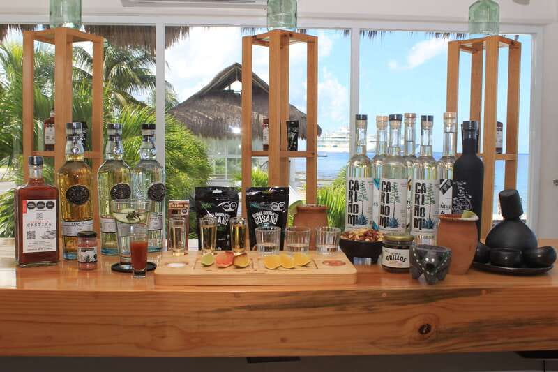 Mezcal and Tequila Tasting Room - Who should book this experience