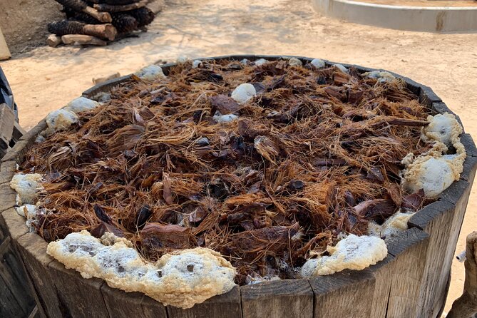 Mezcal Day Experience - San Baltazar Guelavila and lunch in the mountains