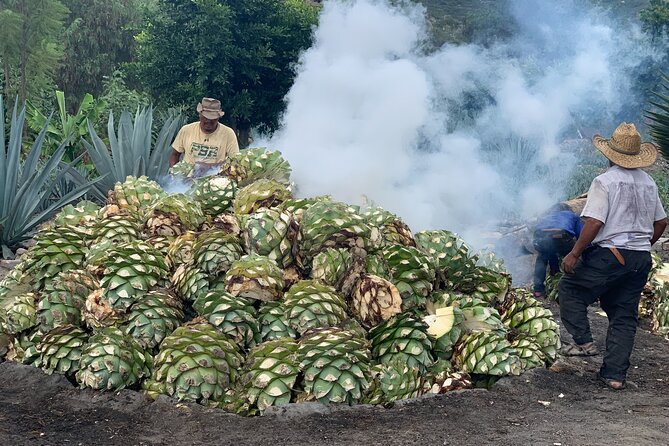 Mezcal Day Experience - Is $267.60 a fair price?