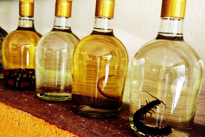 Mezcal Factory Tasting Learning Experience Drink Lunch and More - Who should book this experience?