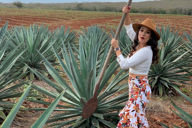 Mezcal Food Tasting Tour with Lunch Included - Key points at a glance