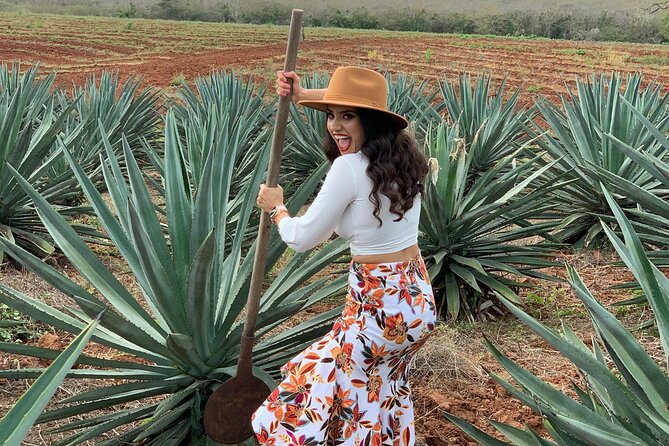 Mezcal Food Tasting Tour with Lunch Included - From Mazatlán to a working agave ranch