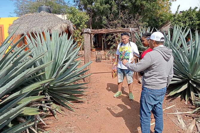 Mezcal Food Tasting Tour with Lunch Included - Pickup, timing, and the one practical warning