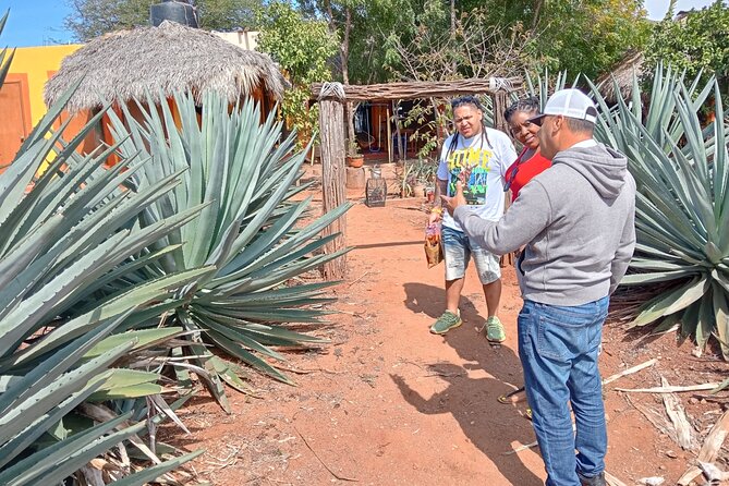 Mezcal Food Tasting Tour with Lunch Included - Who should book this Mazatlán experience?