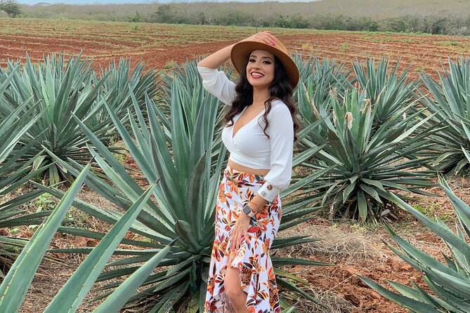 Mezcal Food Tasting Tour with Lunch Included - Seven ways to taste the spirit