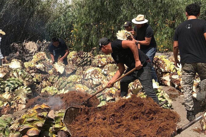 Mezcal Tour Oaxaca - Why this Oaxaca mezcal tour is different
