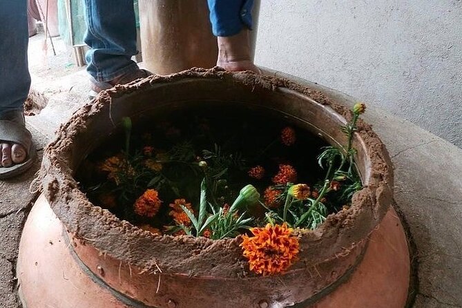 Mezcal Tour Oaxaca - Who will enjoy this Oaxaca mezcal tour