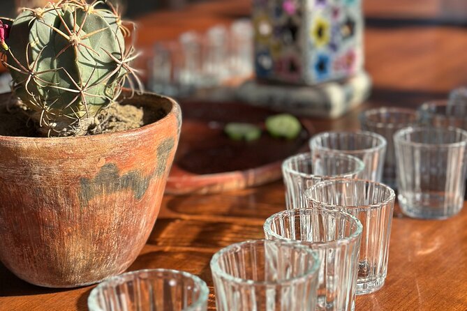 Monte Albán, Hierve el Agua, Mezcal distillery & Teotitlán rugs - Hierve el Agua brings the day to a dramatic finish