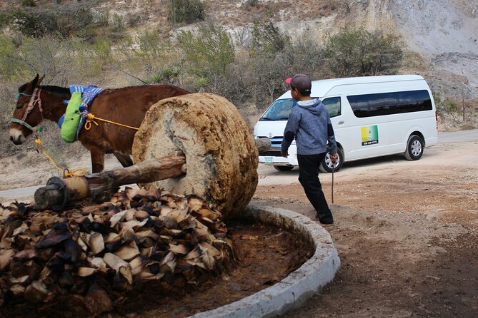 Monte Alban, Teotitlan and Mezcal Tour - Is the tour good value?