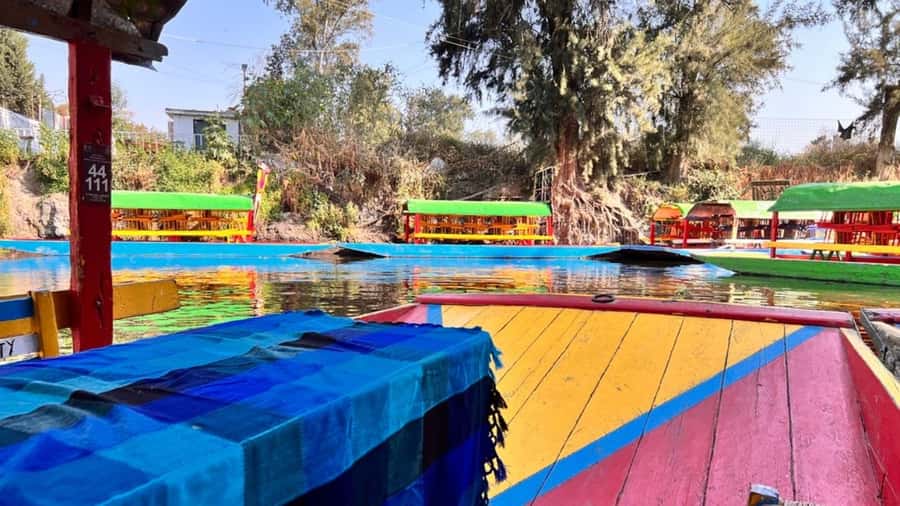 Music and Tequila in Xochimilco visits Coyoacán and CU - Xochimilco by painted trajinera