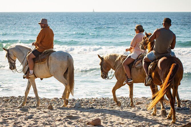 NEW!! Combo ATV & Horseback Ride. Beach & Desert. Tequila Tasting - The tequila tasting question