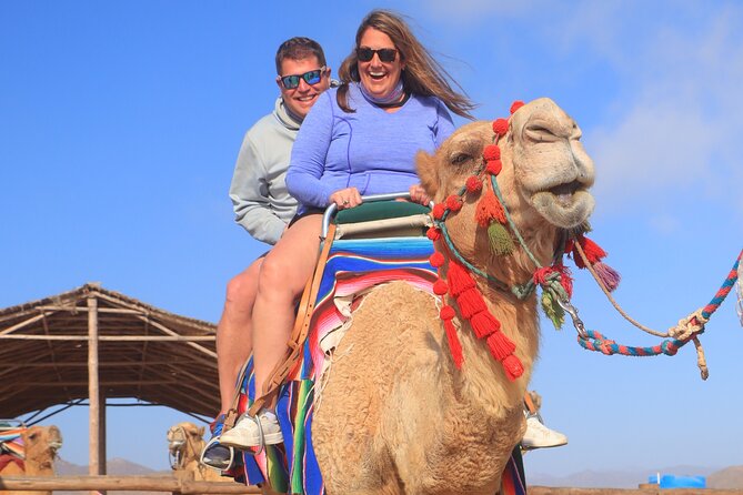 NEW! Combo Camel Beach Ride and UTV 4X4 Cabo Adventure, Tequila & - The real price of this Cabo excursion