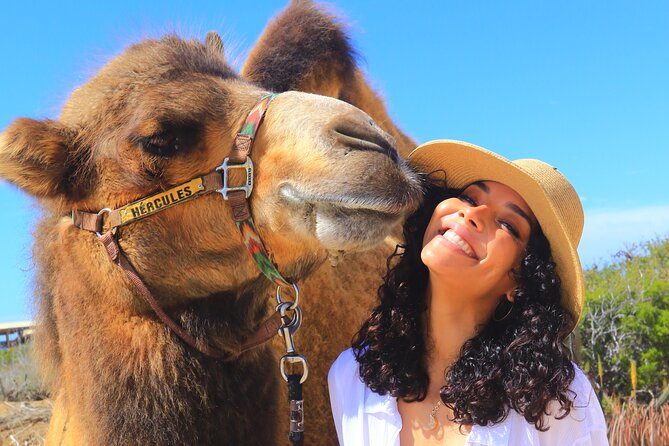 NEW! Combo Camel Beach Ride and UTV 4X4 Cabo Adventure, Tequila & - Timing, pickup, and cruise-day planning
