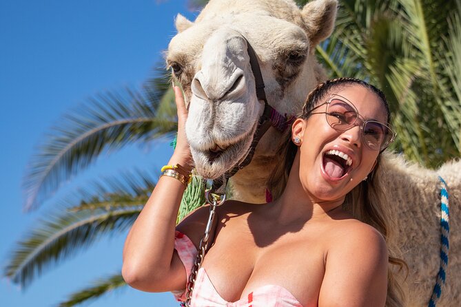 NEW! Combo Camel Beach Ride and UTV 4X4 Cabo Adventure, Tequila & - The buffet and tequila stop