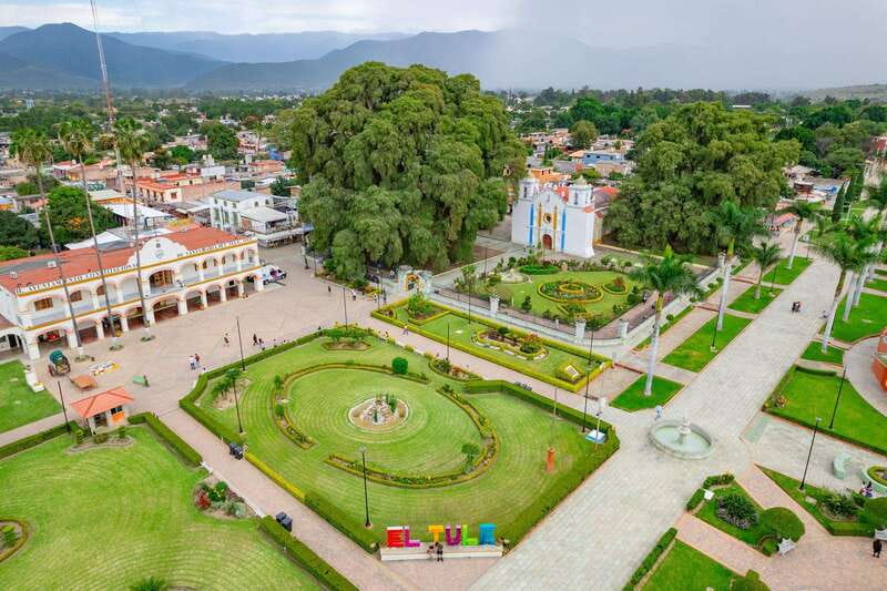 Oaxaca: El Tule tree, Teotitlan Village & Mezcal Tour - Key points at a glance