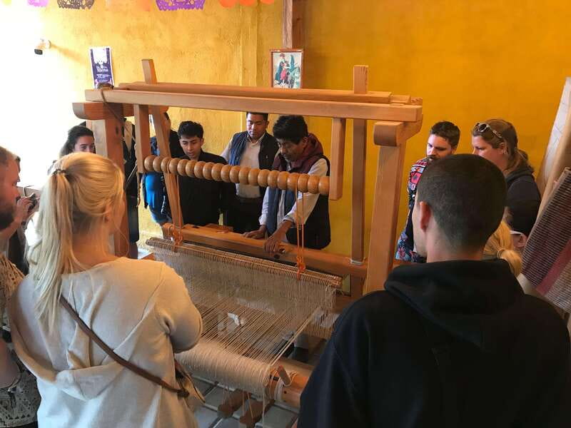 Oaxaca: El Tule tree, Teotitlan Village & Mezcal Tour - Who should book this tour