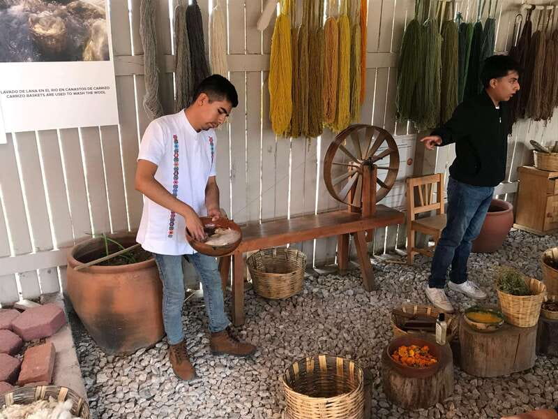 Oaxaca: El Tule tree, Teotitlan Village & Mezcal Tour - Practical preparation for the 4.5-hour outing