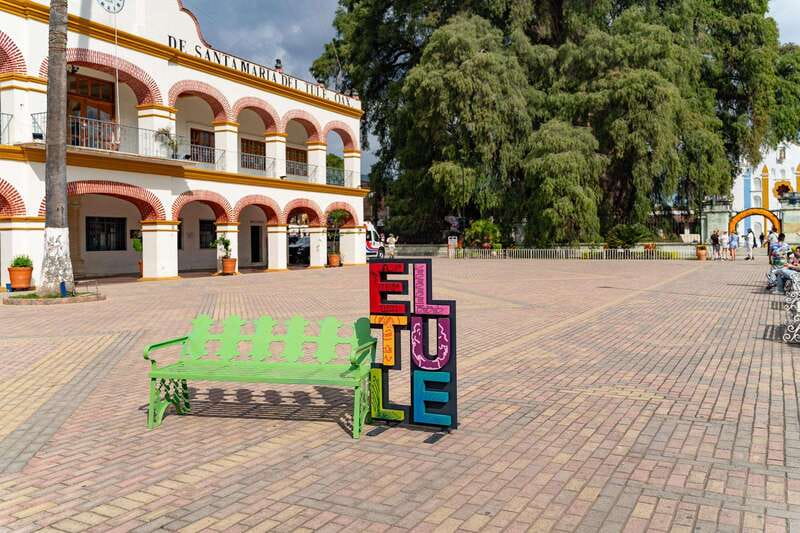 Oaxaca: El Tule tree, Teotitlan Village & Mezcal Tour - The Tule Tree and its wonderfully odd trunk