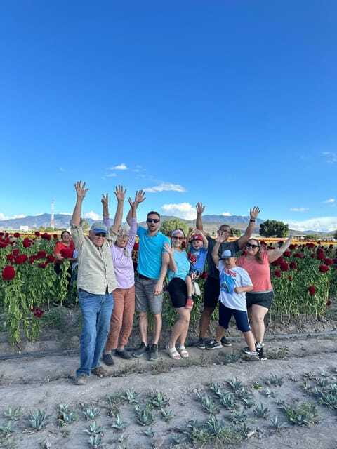 Oaxaca: Hierve el Agua & Mezcal Distillery Small-Group Tour - Should you book this Oaxaca day trip?