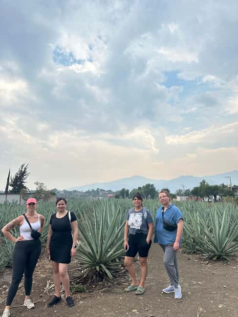 Oaxaca: Hierve el Agua & Mezcal Distillery Small-Group Tour - A long Oaxaca day with two very different highlights