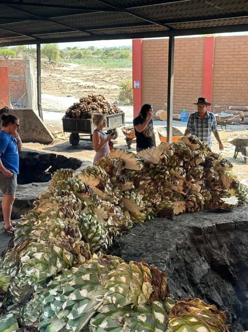 Oaxaca: Hierve el Agua & Mezcal Distillery Small-Group Tour - The van, group size, and pace of the day