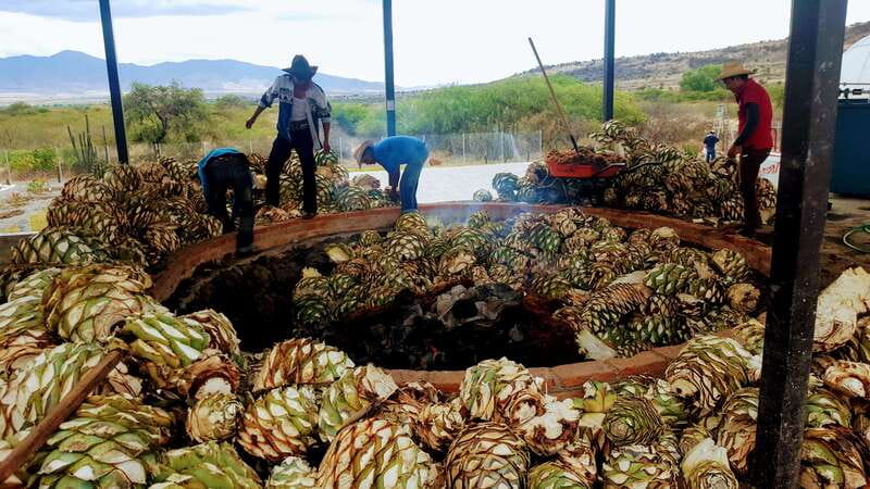 Oaxaca: Mezcal Adventure - From Oaxaca to the Tlacolula Valley