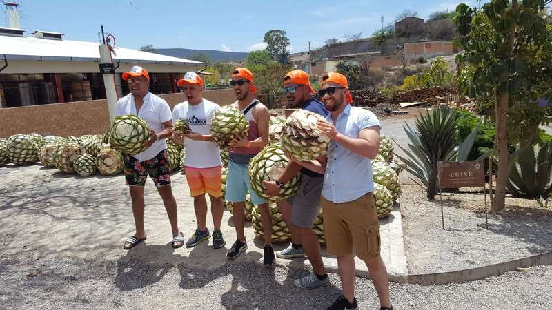 Oaxaca: Mezcal Adventure - Agave Fields and the Plants Behind the Bottle