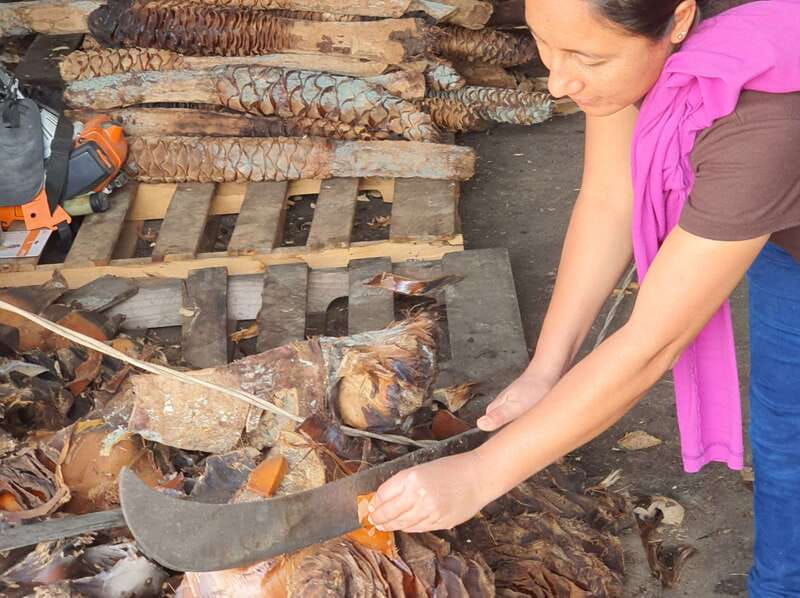 Oaxaca: Mezcal Adventure - A Third or Fourth Stop, Depending on the Day