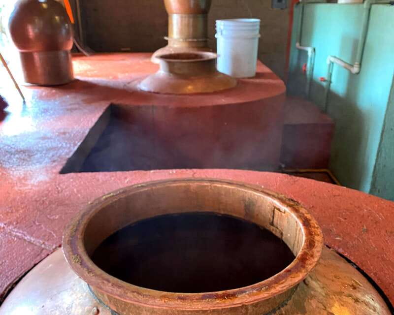Oaxaca: Mezcal Adventure - Language, Group Size, and Practical Limits