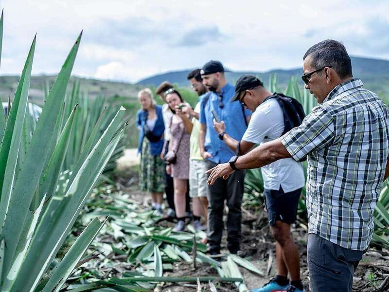 Oaxaca: Mezcal Distillery Tour with Tastings - Inside a family-owned palenque