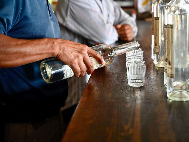 Oaxaca: Mezcal Distillery Tour with Tastings - Comparing Espadín, Tobalá, and other agaves