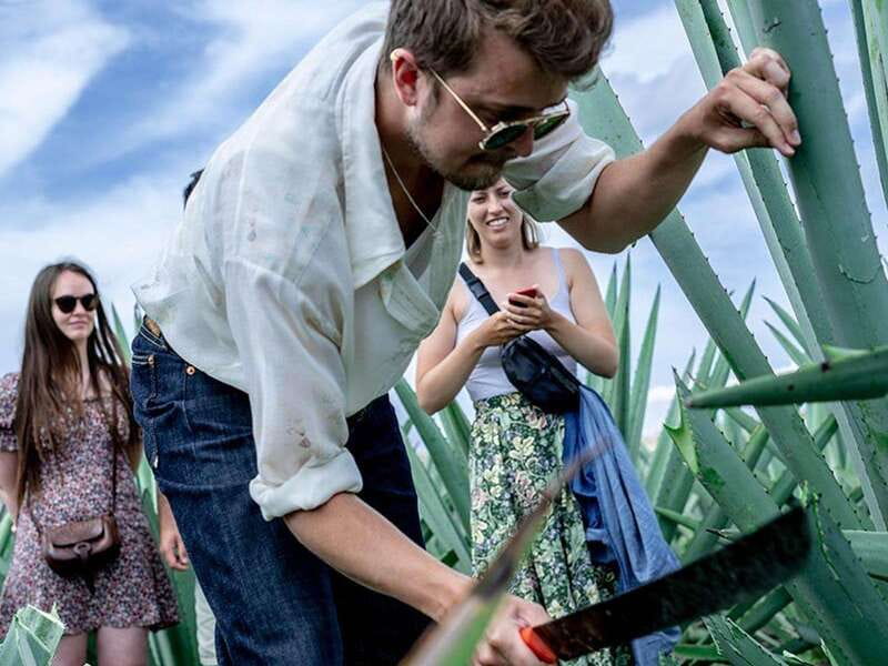 Oaxaca: Mezcal Distillery Tour with Tastings - Should you book this Matatlán mezcal tour?