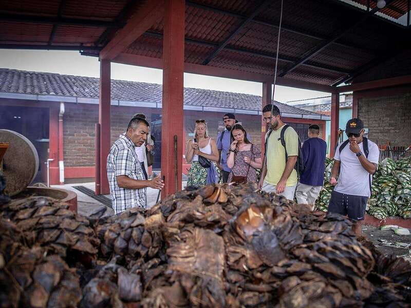 Oaxaca: Mezcal Distillery Tour with Tastings - Starting at Casa de las Bugambilias B&B