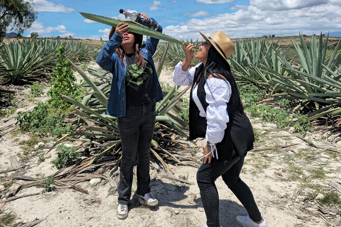 Oaxaca Mezcal & Pulque Tour by Barrel Bus - Pulque gives you an older taste of Oaxaca