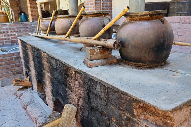 Oaxaca Mezcal & Pulque Tour by Barrel Bus - Agave fields put the bottle in perspective