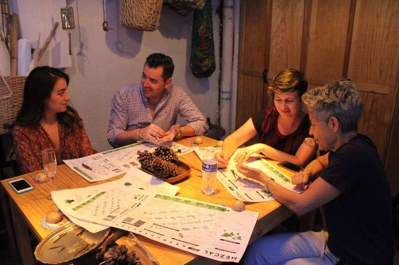 Oaxaca: Mezcal Tasting Session with Expert - Practical tips for a better tasting