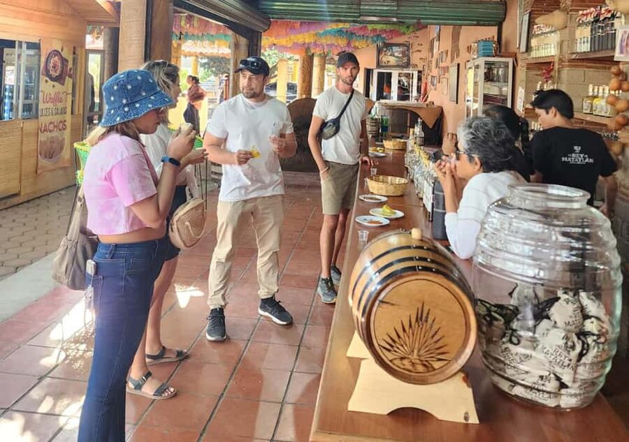 Oaxaca: Tule, Mitla & Hierve el Agua, & Mezcal Tour - Teotitlán del Valle and the work behind the rugs