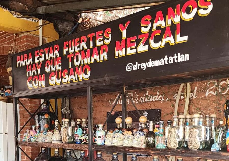 Oaxaca: Tule, Mitla & Hierve el Agua, & Mezcal Tour - The guide and vehicle matter here