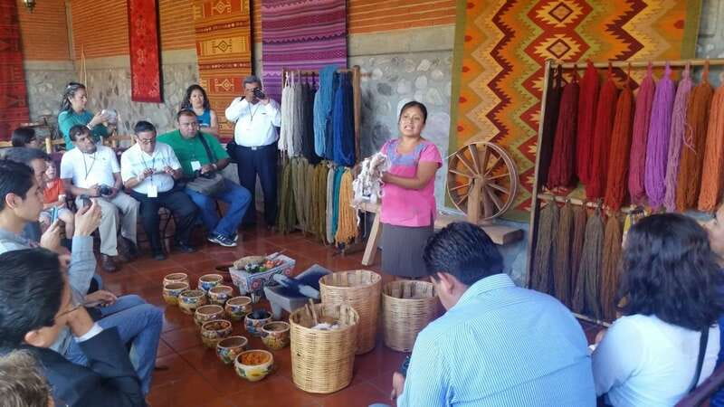 Oaxaca: Tule, Mitla & Hierve el Agua, & Mezcal Tour - The Tule Tree: a strong opening stop