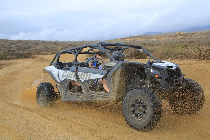 Off-Road Cabo Adventure: Beach and Desert Ride, Tequila Tasting - Equipment, comfort, and the physical side